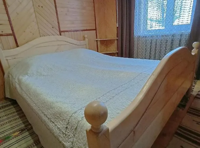 Girskyi Kutochok 招待所 韦尔霍维纳